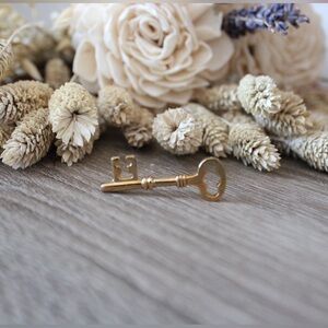 Elegant Gold Key Brooch